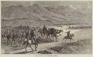نهب الماشية على حدود Scinde